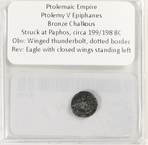 Ptolemy chalkous paphos - ae,